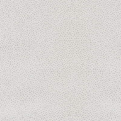 Kravet Couture EDGY SHARK.11.0 Edgy Shark Upholstery Fabric in Grey , Grey , Platinum